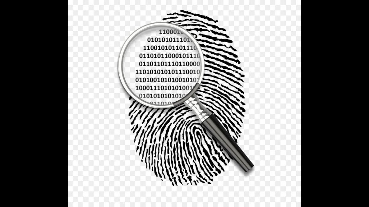 Судебно-баллистическая экспертиза огнестрельного оружия