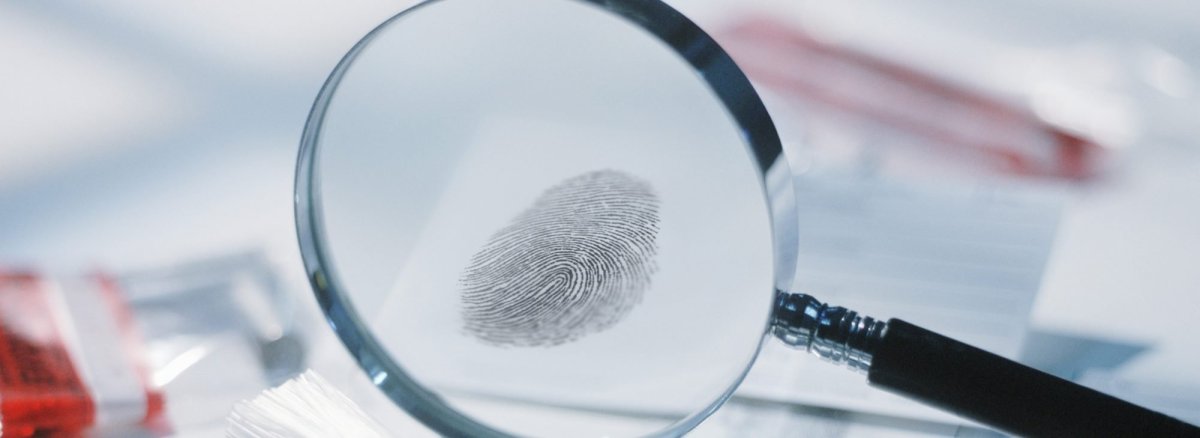 Экспертизы в криминалистике