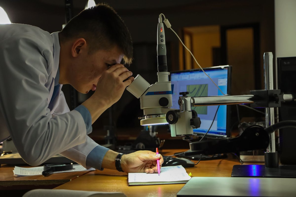 Фотографирование микрообъектов