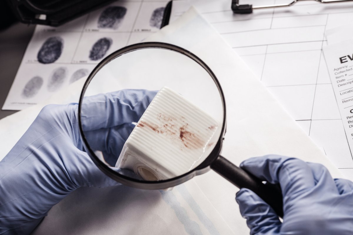 Судебно-криминалистическая экспертиза