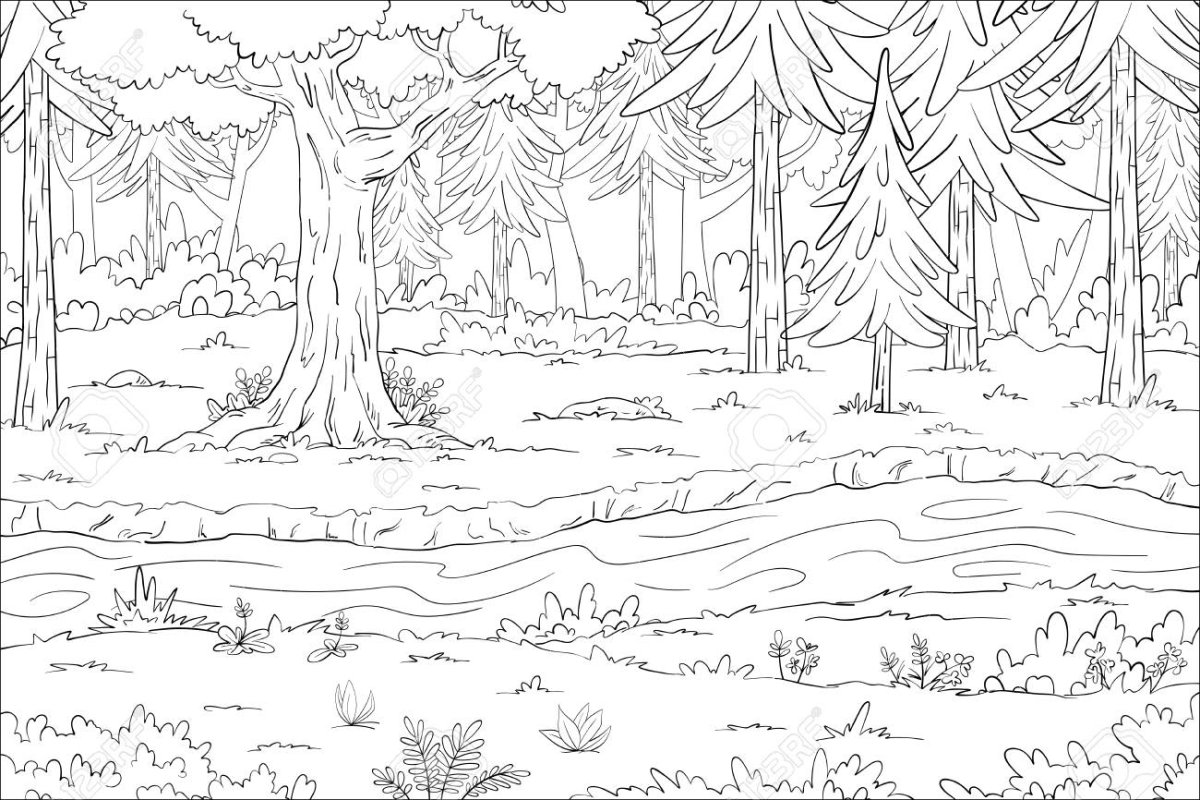 Раскраска пейзаж лес черно белый клипарт