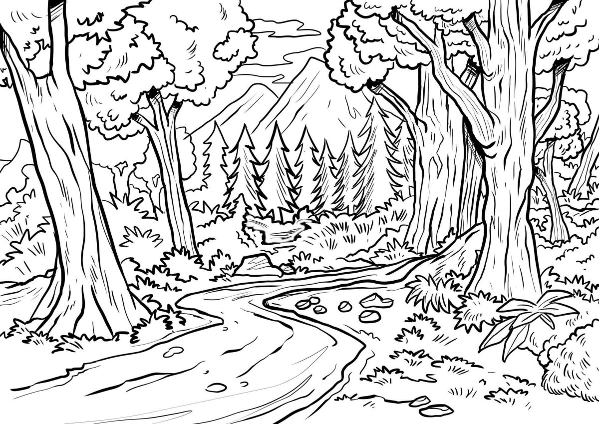 Раскраска природа