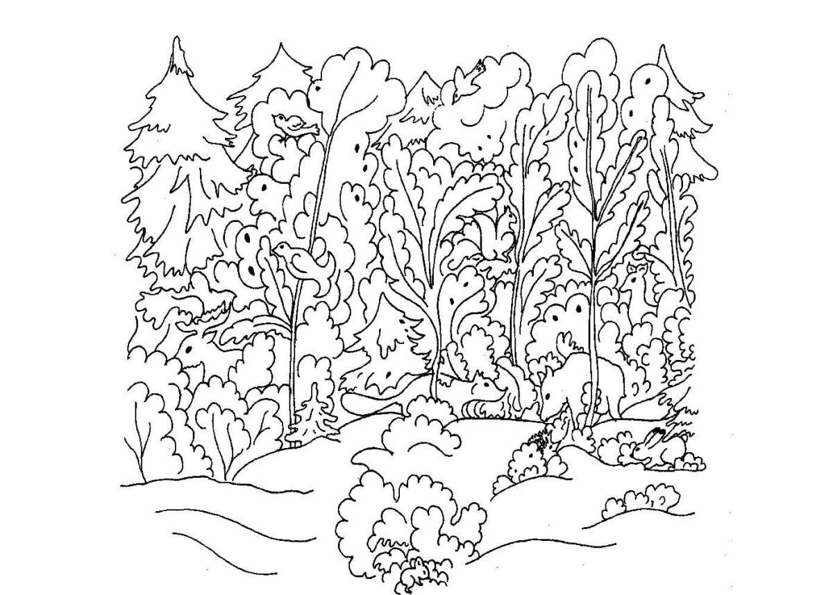 Раскраска осенний лес