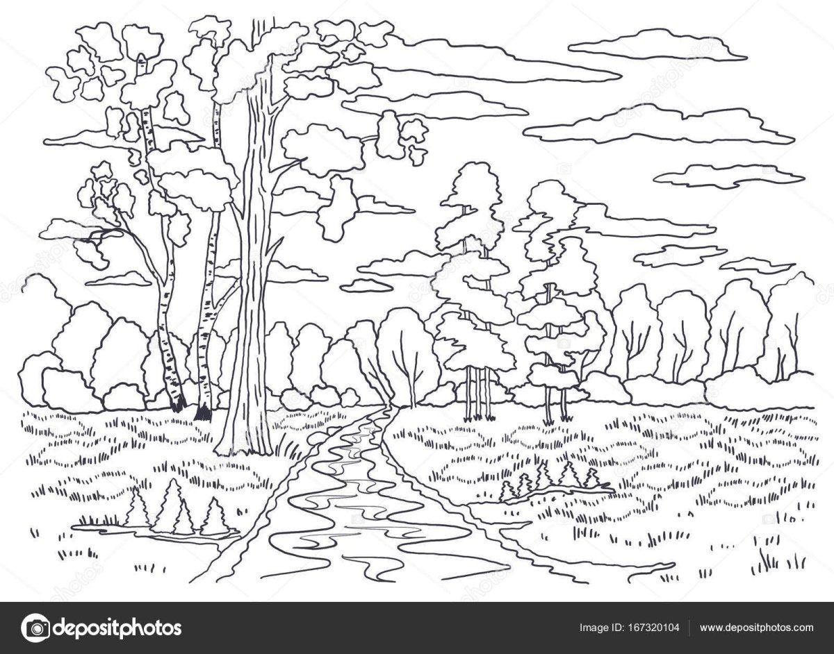 Дерево раскраска