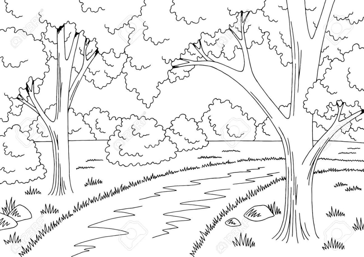 Раскраска леса