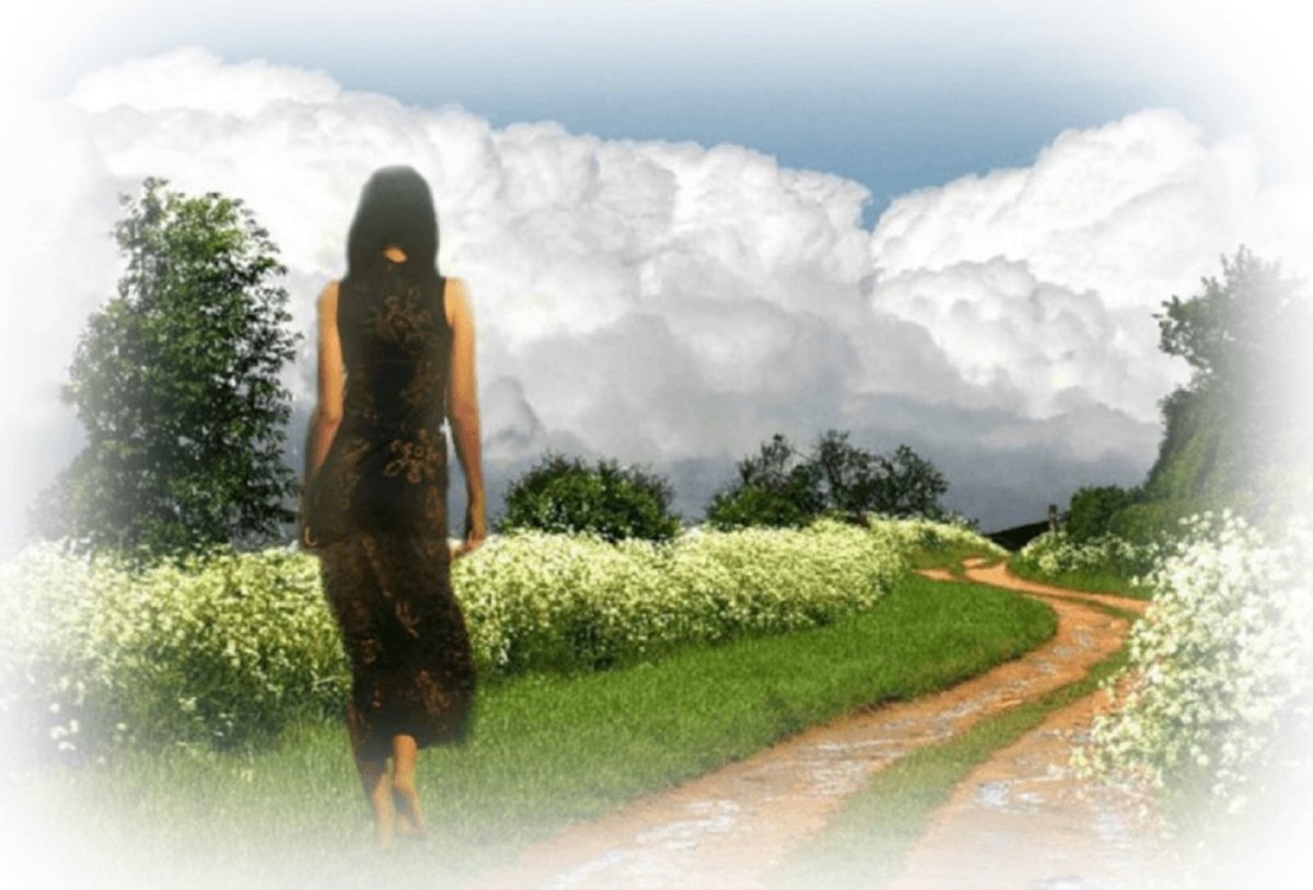 Любовь к животным цитаты