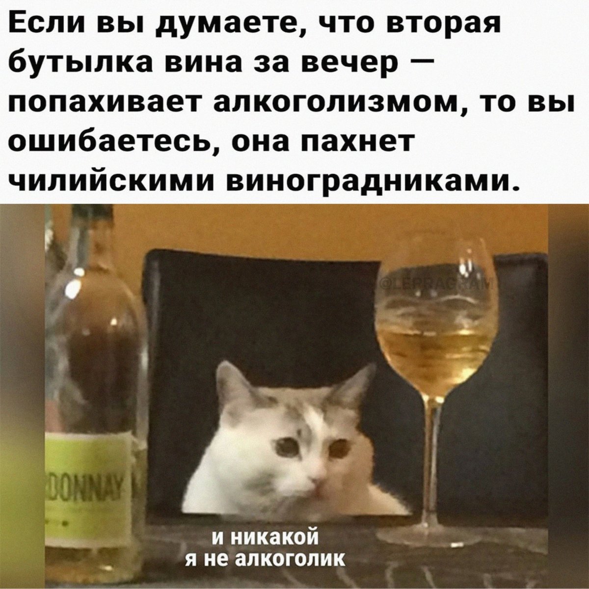 Юмор про алкоголь