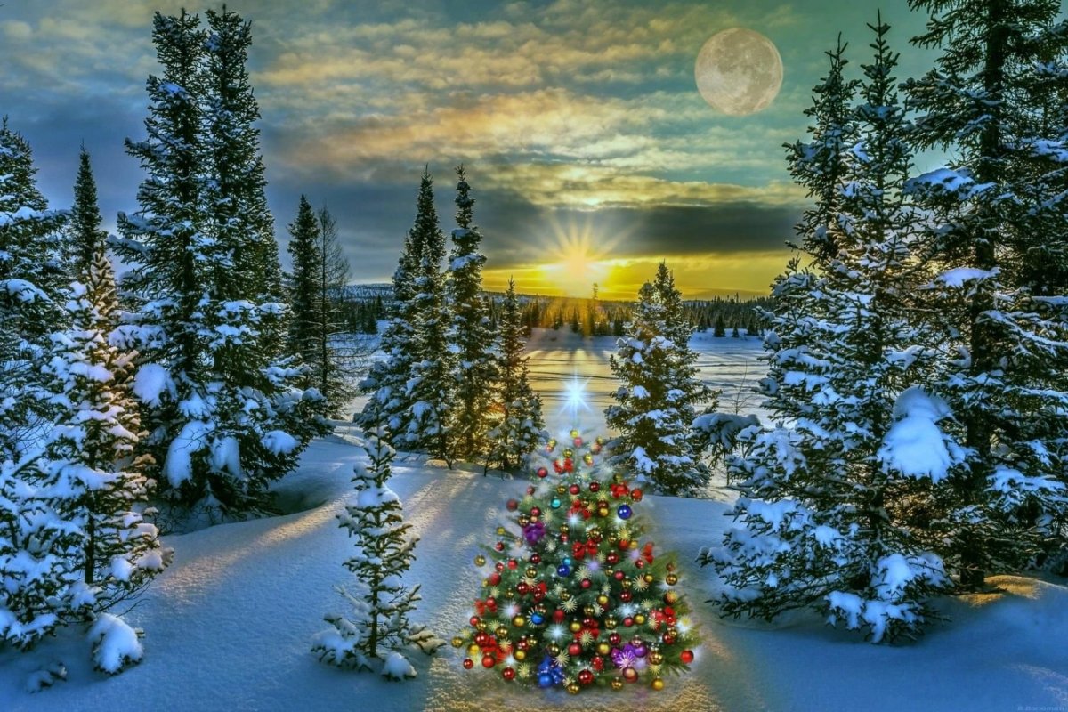 Новый год снег