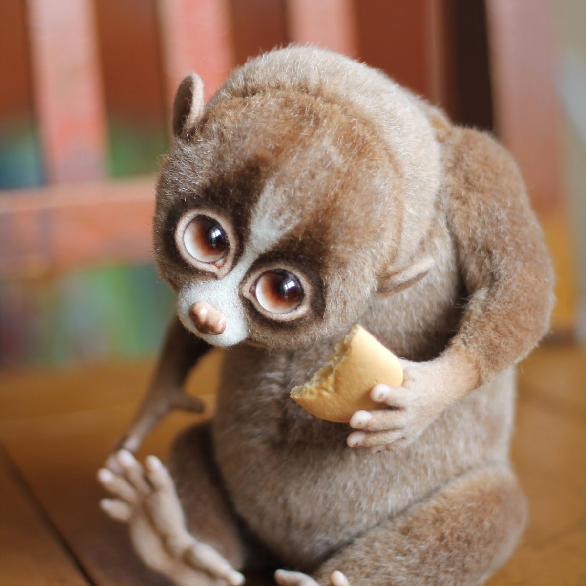 Лемур Лори узбагойся