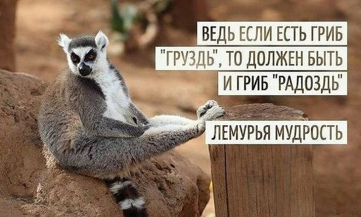 Стильное утро девушки