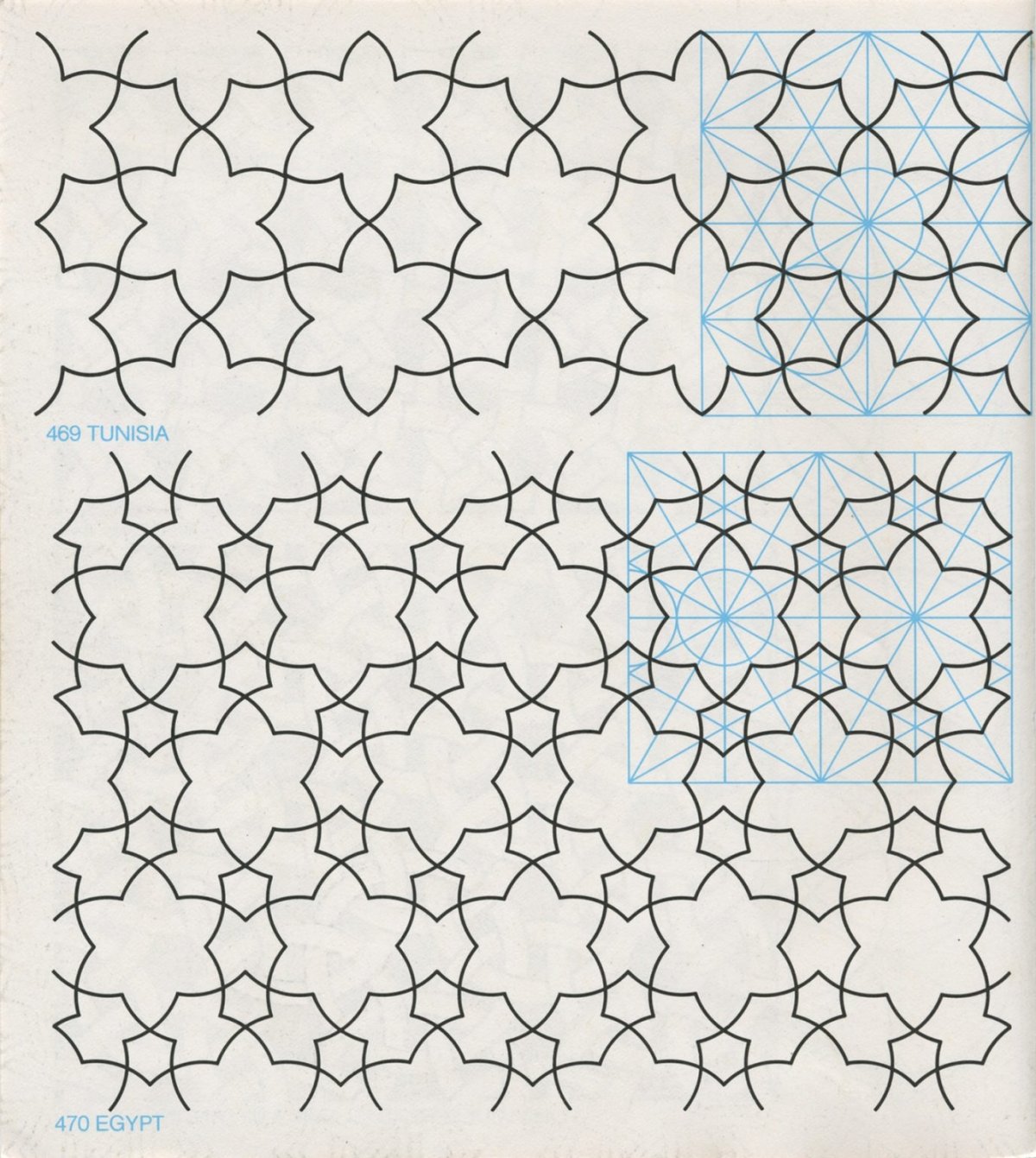 Природный сетчатый орнамент