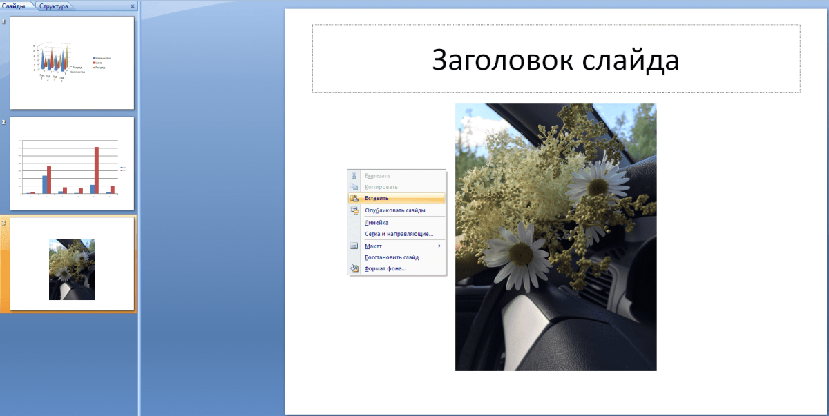 Текст для презентации