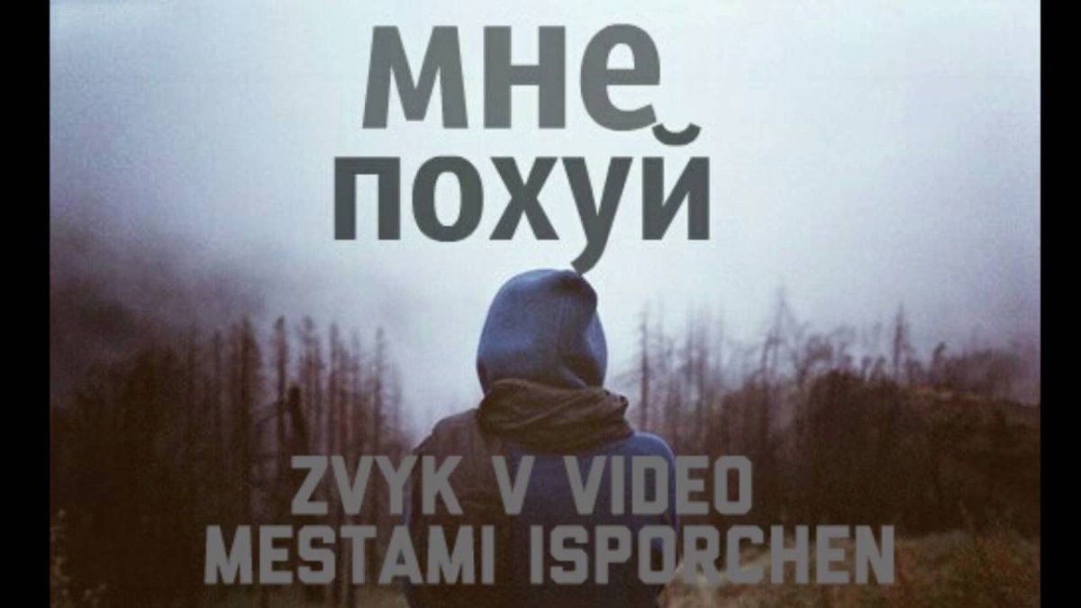 Картинки с надписью мне похуй