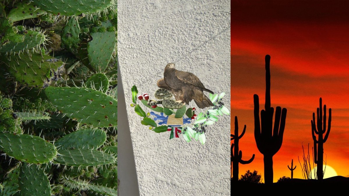 Предметы из Мексики вектор