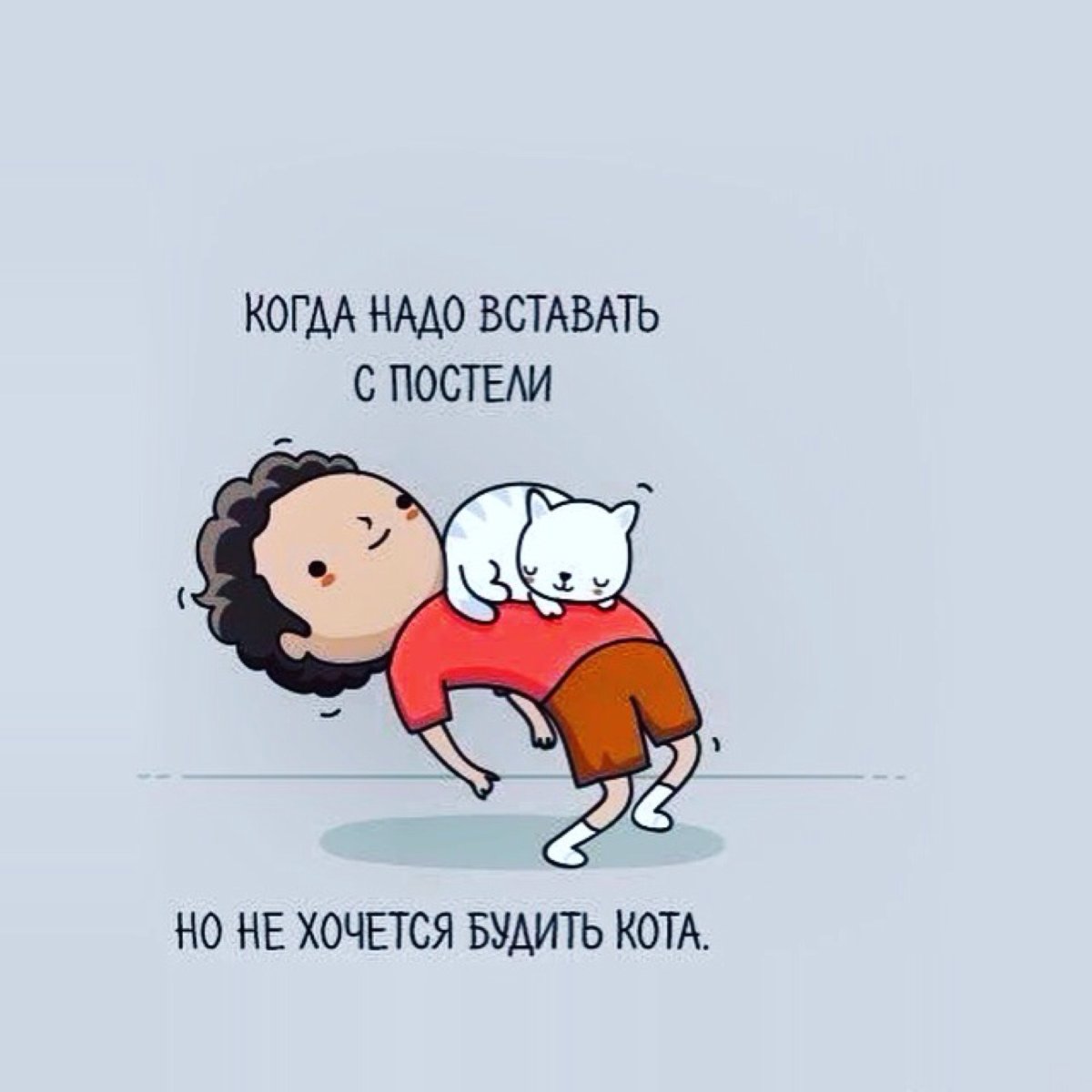 Доброе утро котики смешные