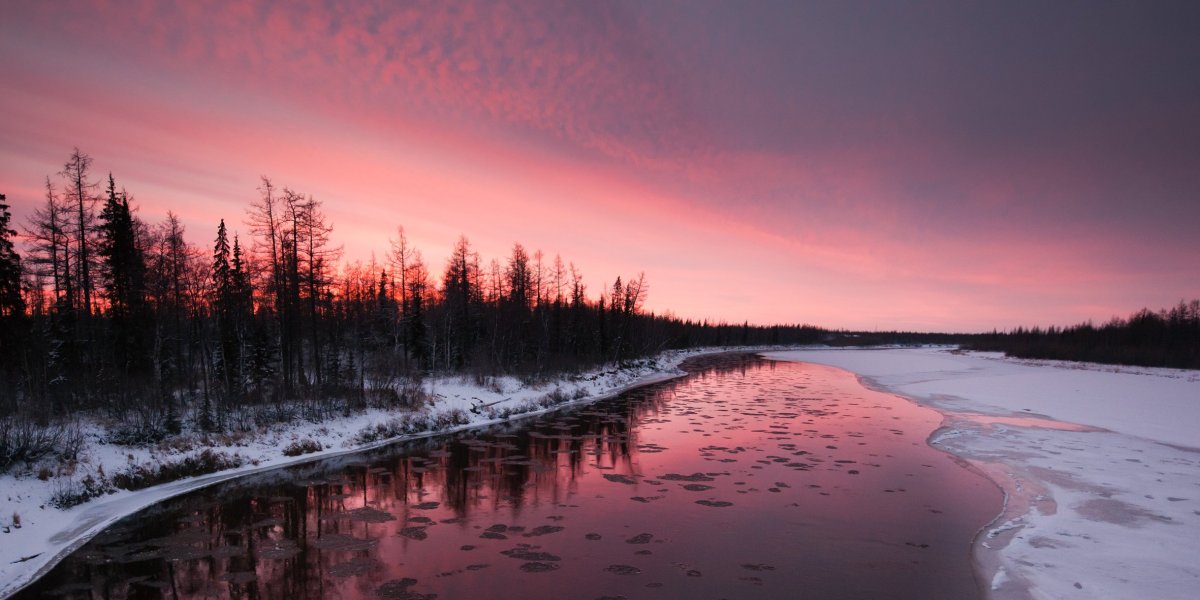 Ямало-Ненецкий автономный округ природа