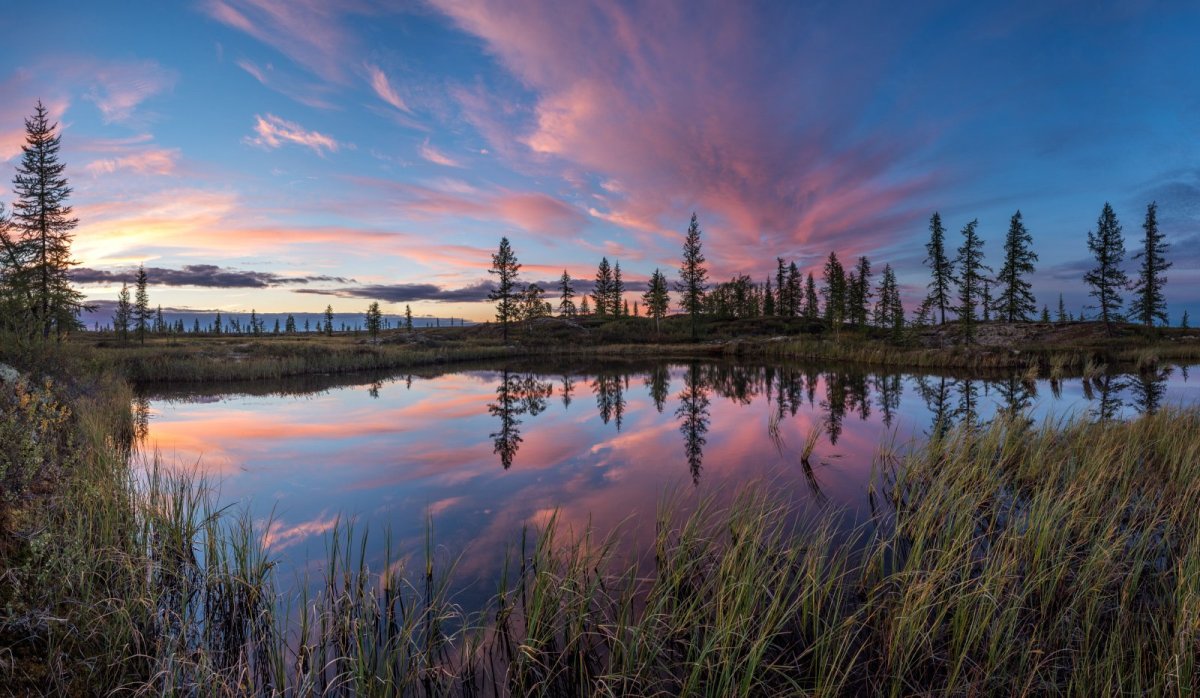Ямало-Ненецкий автономный округ природа