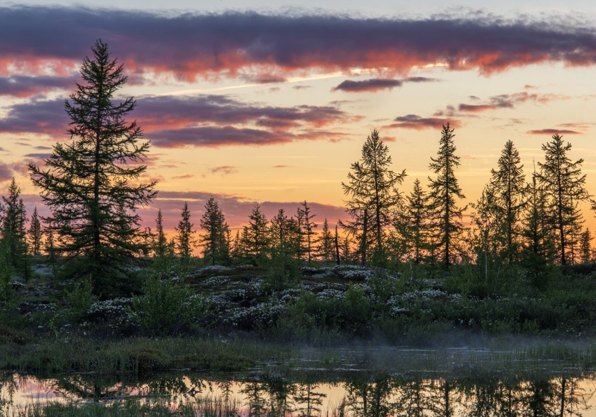 Белые ночи в Уренгое