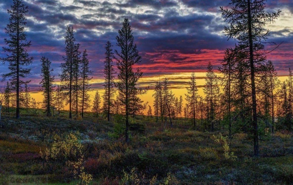 Красота Ямала природа