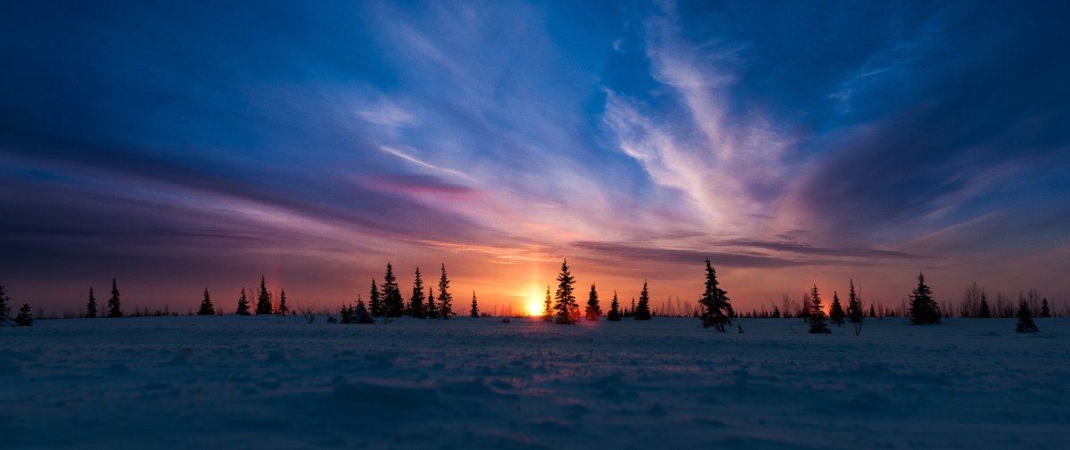 Ямало-Ненецкий автономный округ зимой