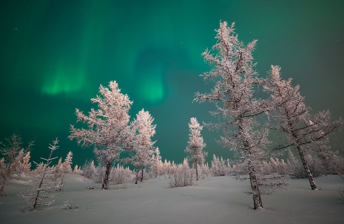 Северное сияние новый Уренгой