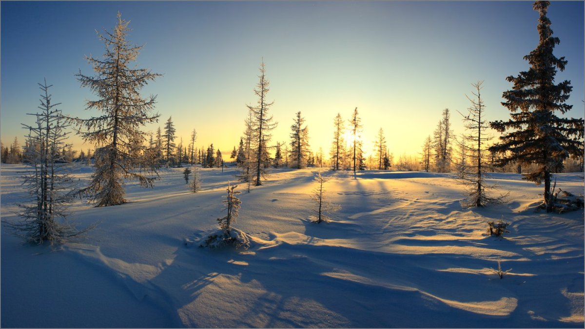 Новый Уренгой зима