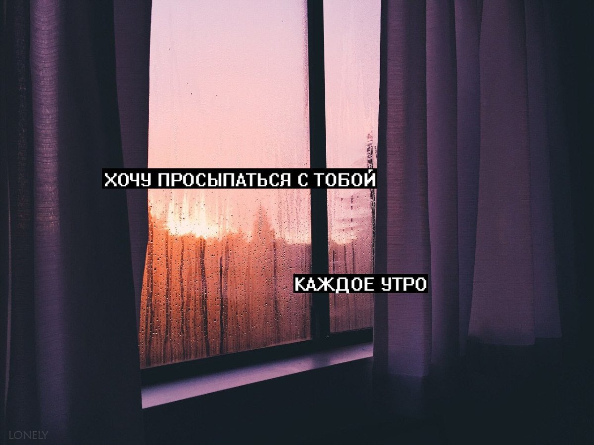 Кот только проснулся