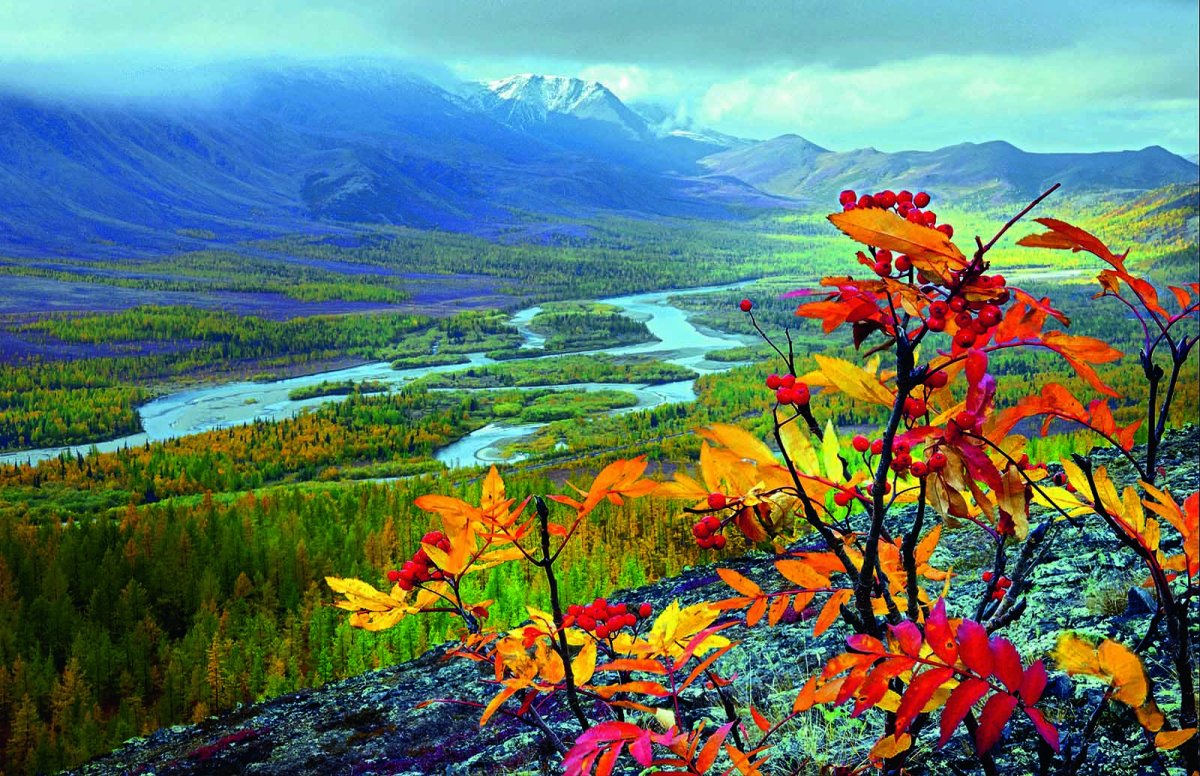 Сопки тундры Ямал