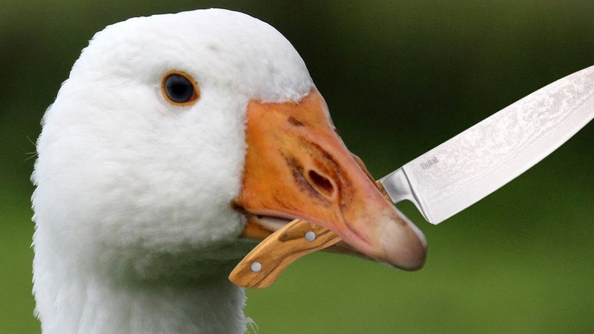 Гусь стилизованный