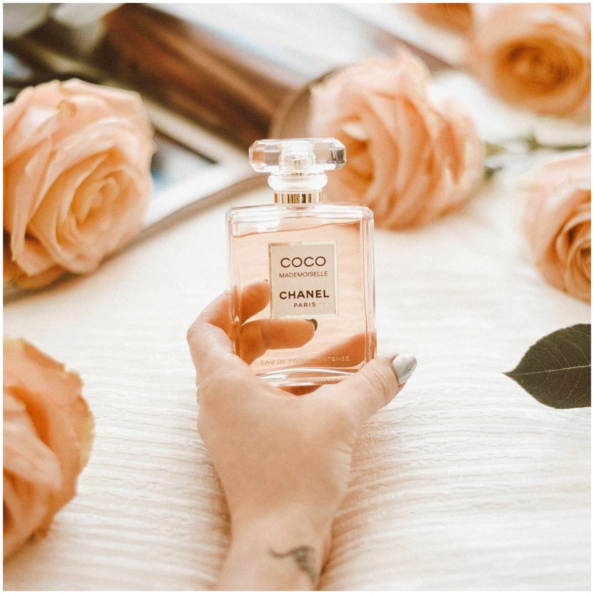 Коко мадмуазель Инстаграм