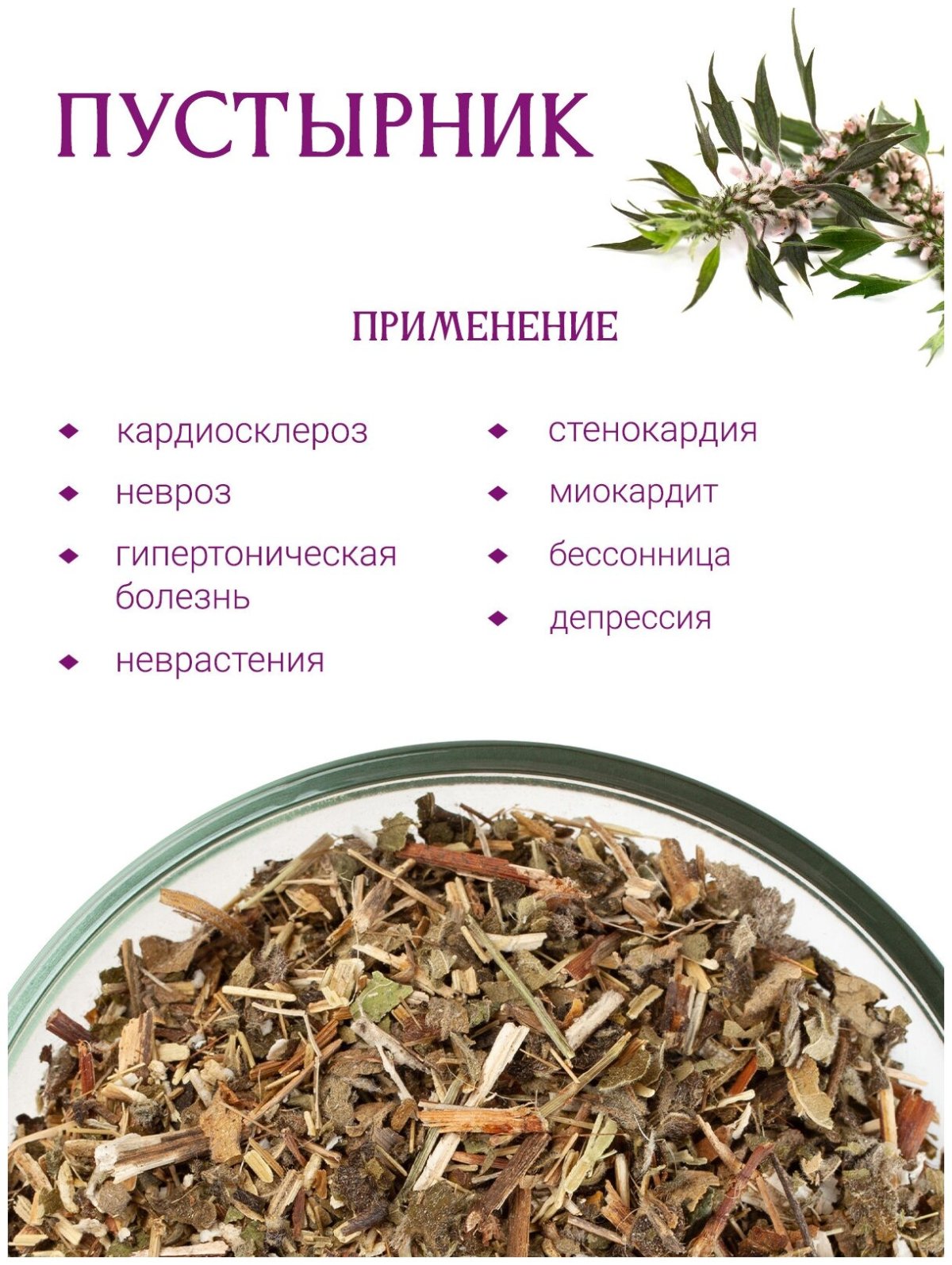 Пустырник сердечный и пятилопастный