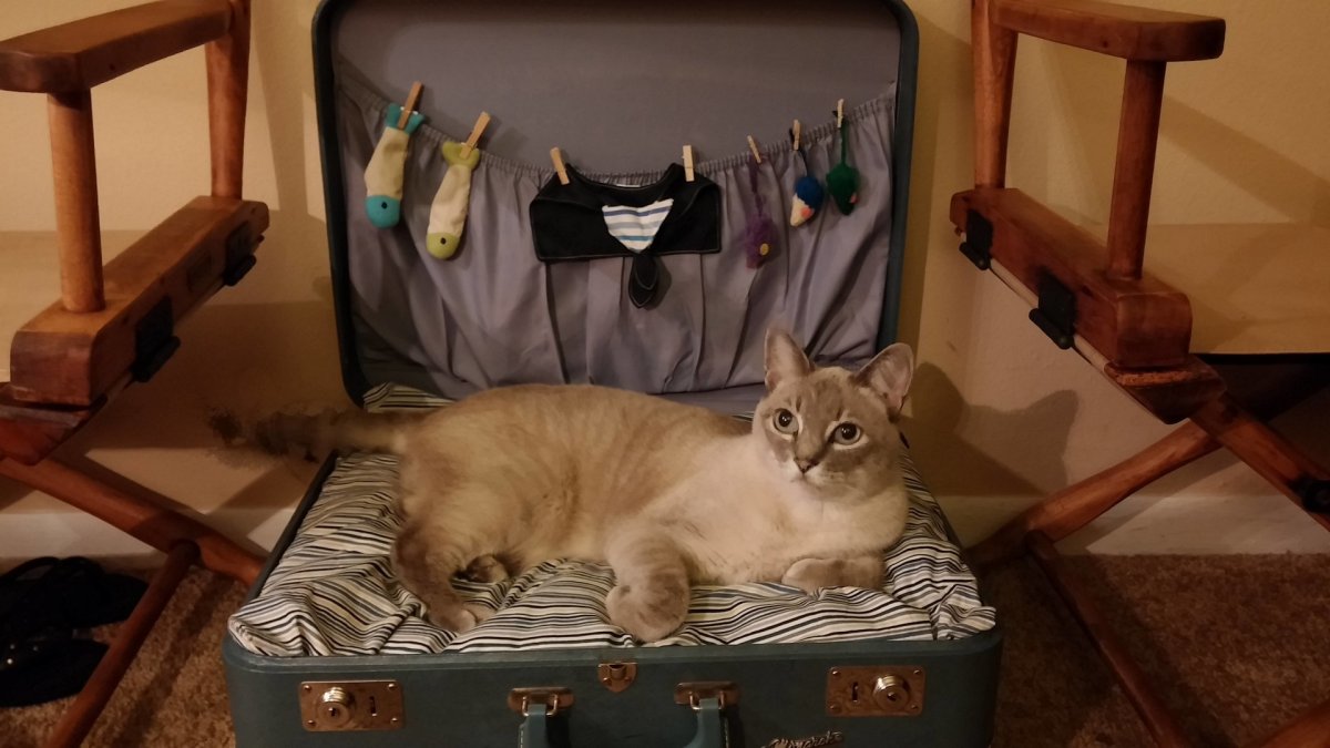 Пора собирать чемоданы