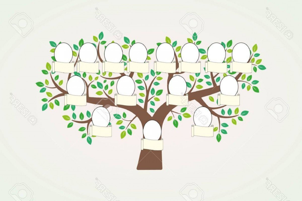 Генеалогическое Древо Family Tree