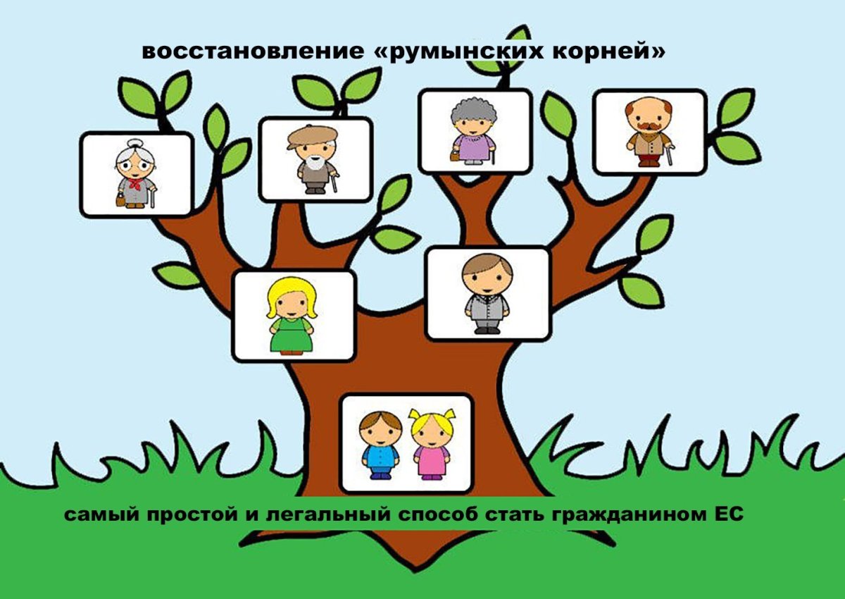 Генеалогическое дерево