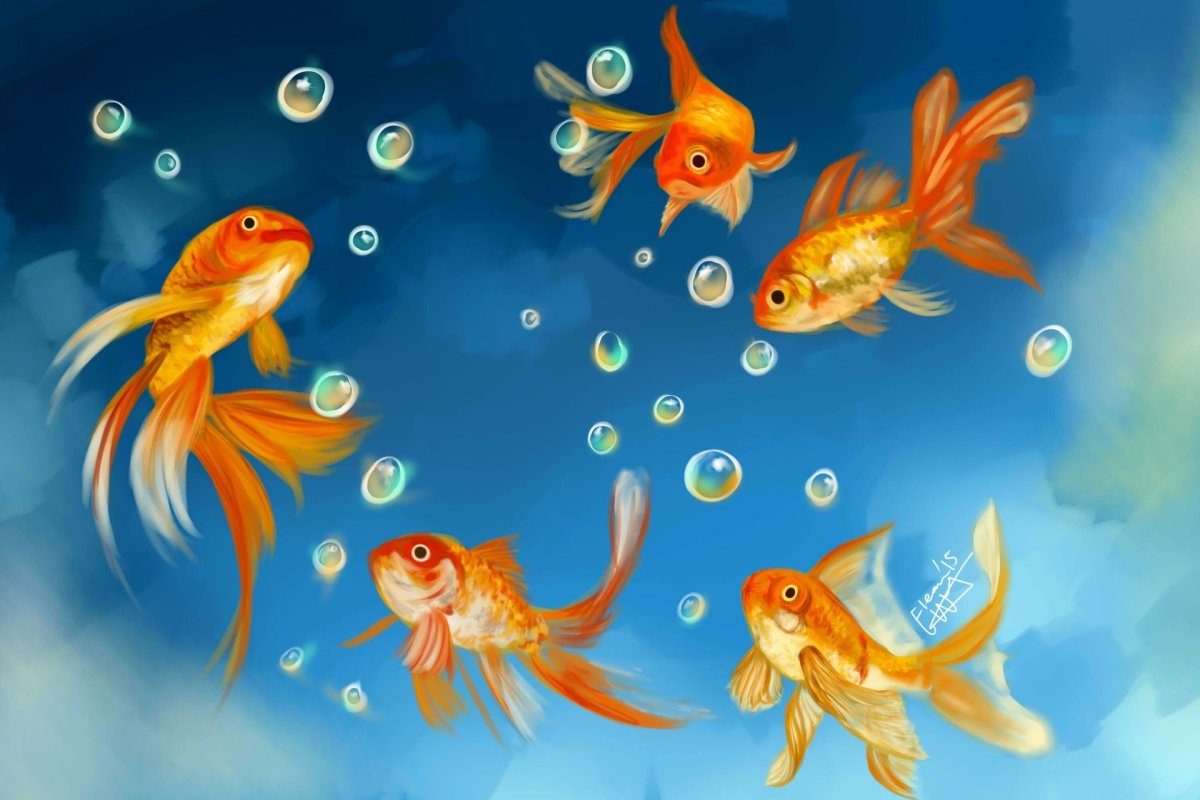 Танец золотых рыбок
