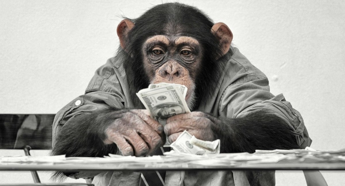 Смешные обезьянки