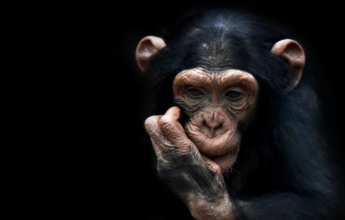 Люди верят что их характер зависит от даты рождения