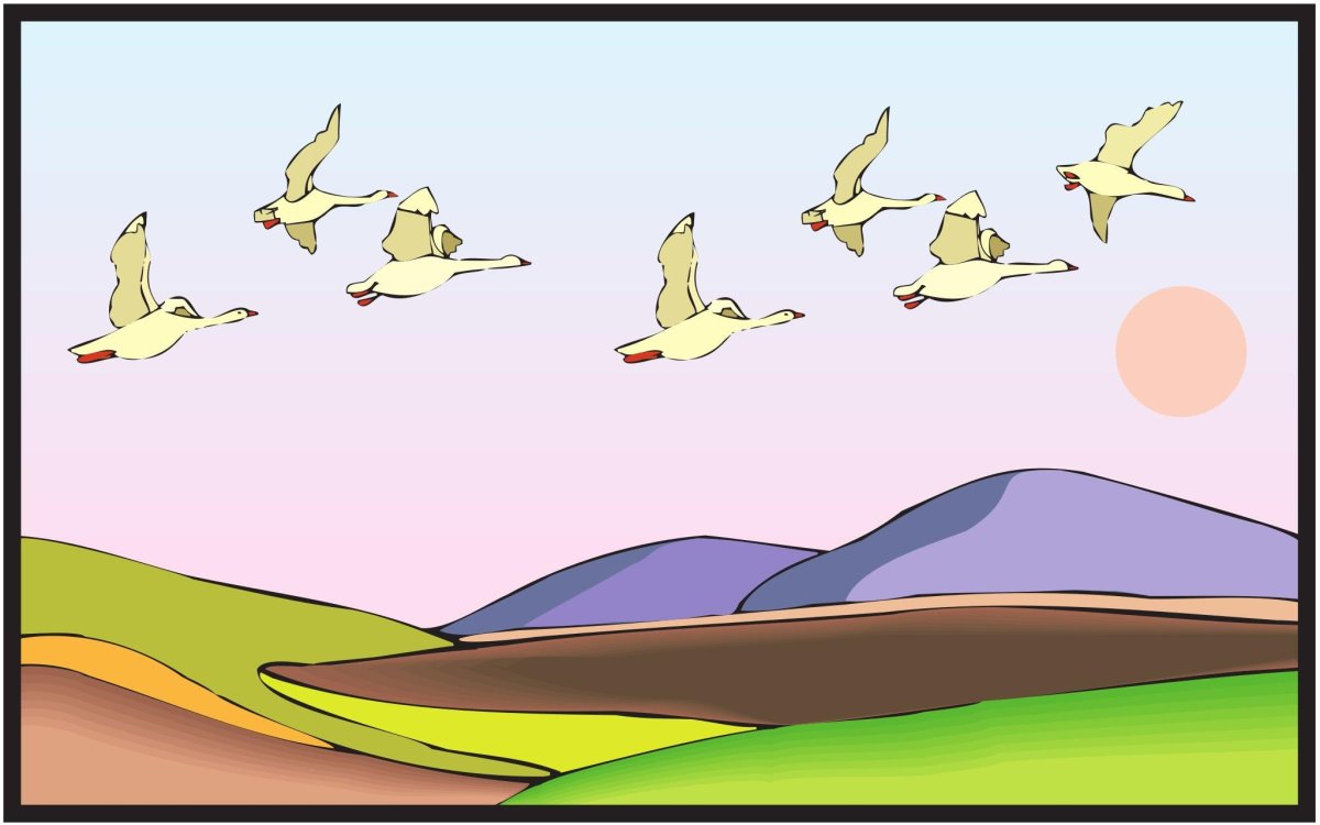 Птицы улетают рисунок для детей