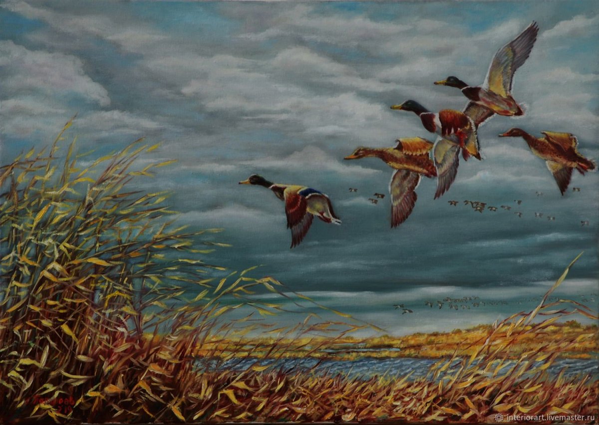 Охотничьи пейзажи с утками