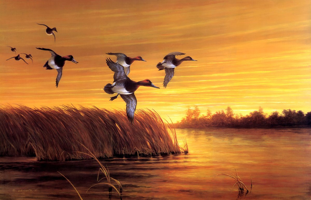 Пейзаж с утками