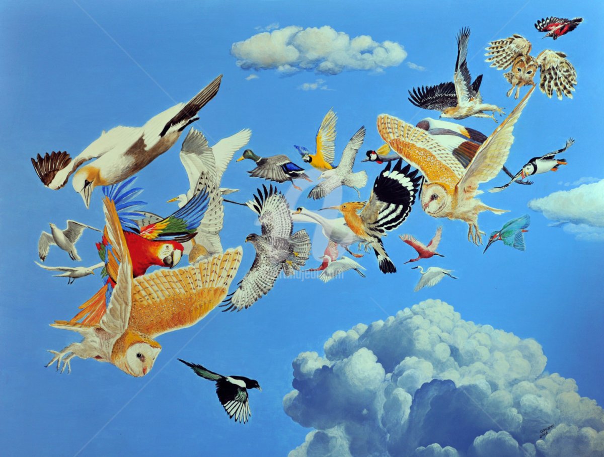 Живопись разные птицы