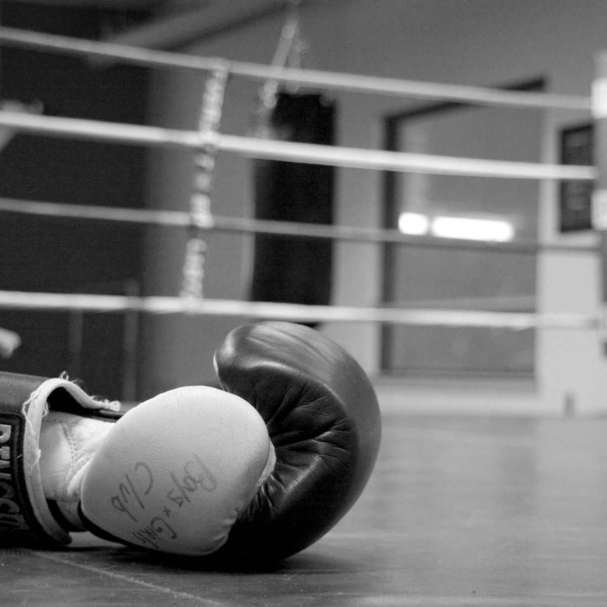 Боксер черно белый