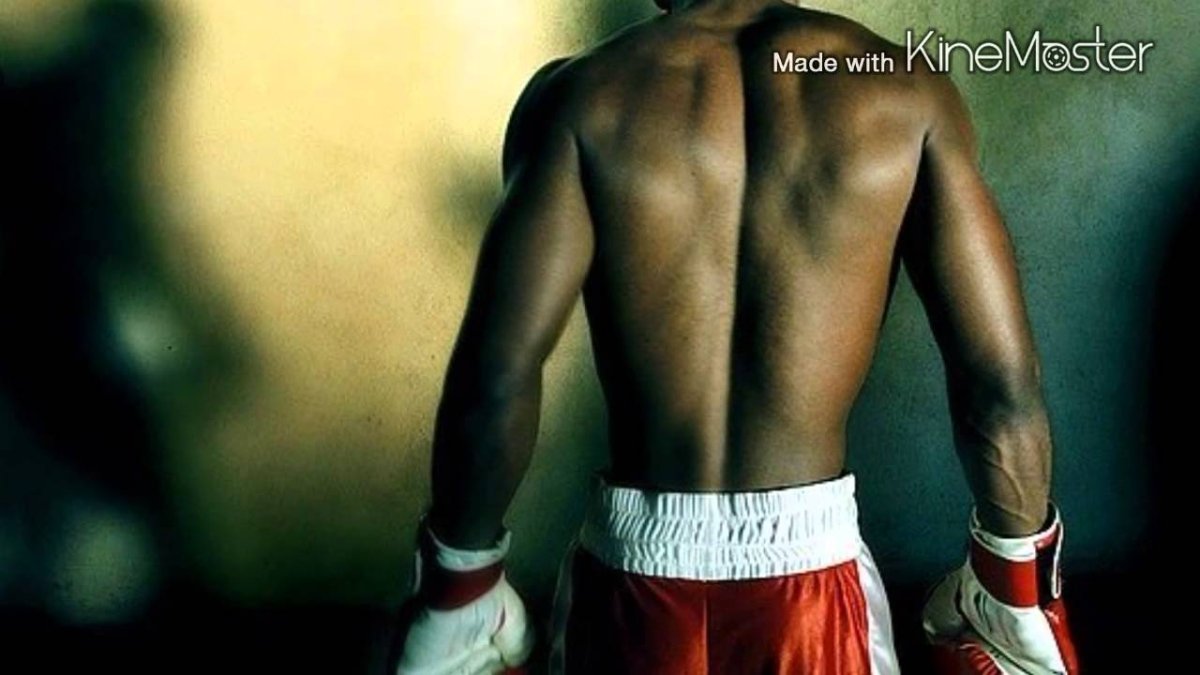 Два боксера на ринге