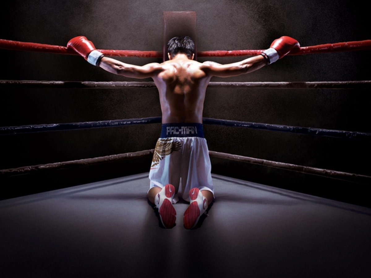 Боксерский баннер