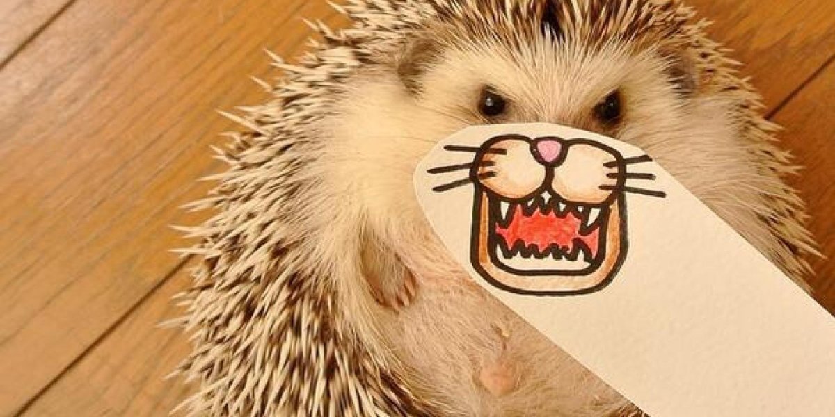 Ёжик упоротый в энергетики