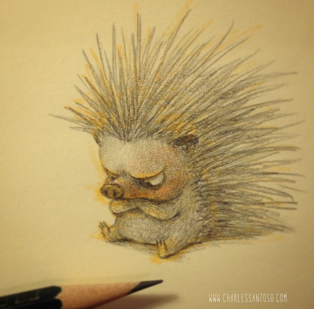 Злой Ежик фото