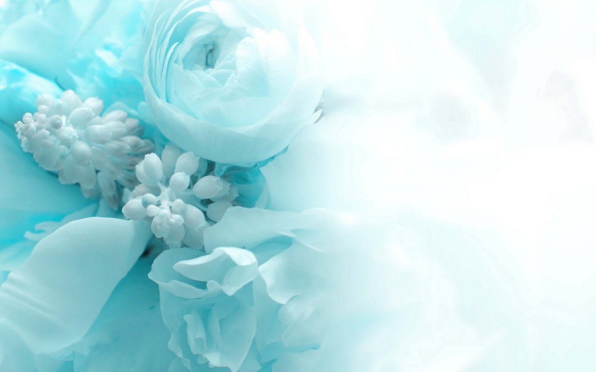 Свадебный фон для коллажа