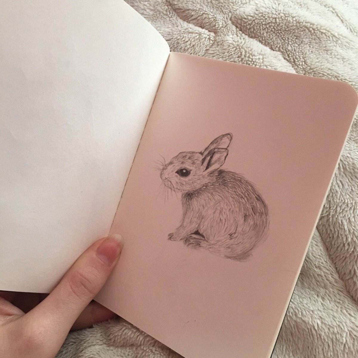 Пастельные рисунки для срисовки