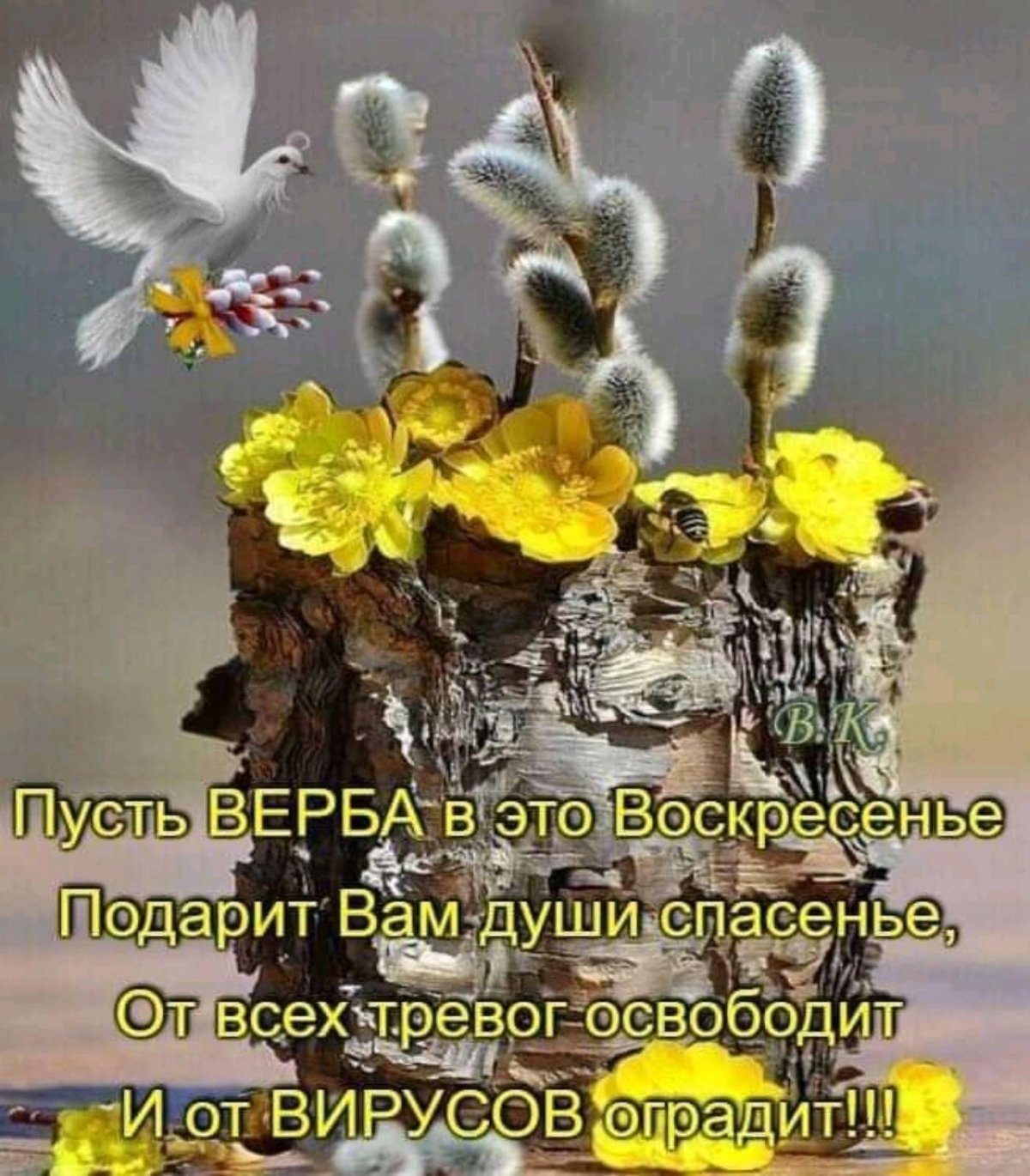 Воскресного утра и прекрасного дня