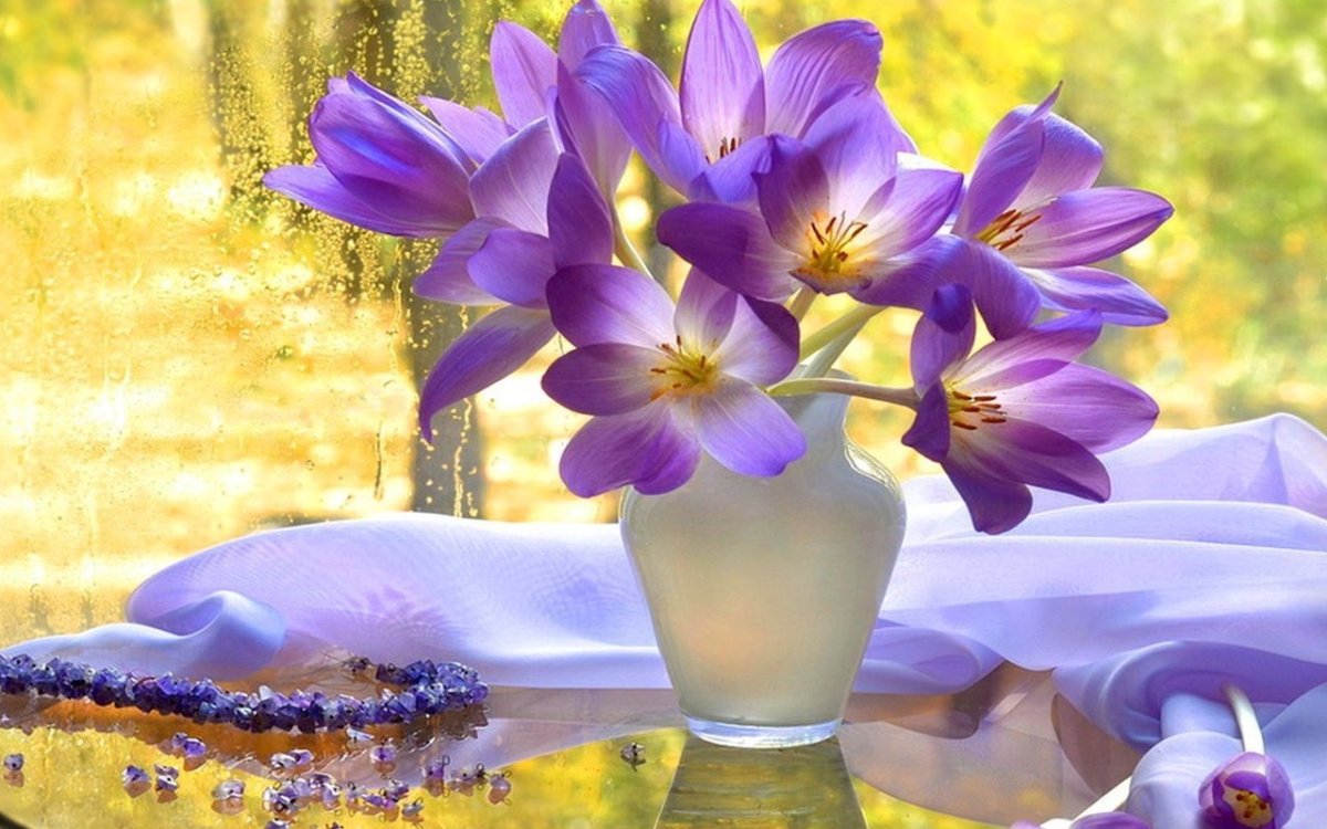 Чудесного весеннего утра и прекрасного настроения красивые